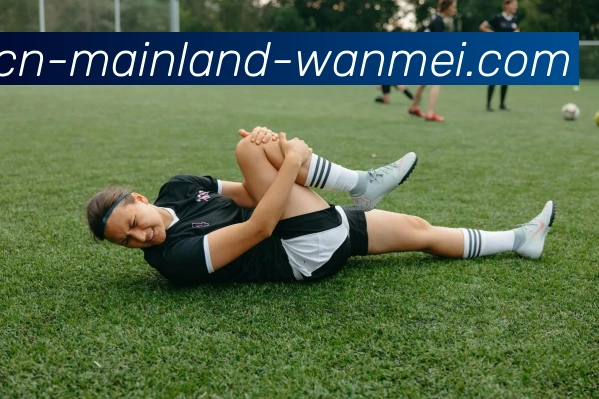 WANMEISPORTS平台生态图